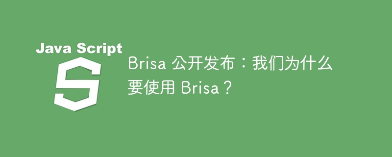 Brisa 公开发布:我们为什么要使用 Brisa?