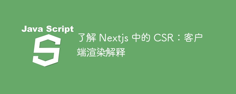 了解 Nextjs 中的 CSR：客户端渲染解释