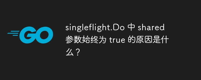 singleflight.Do 中 shared 参数始终为 true 的原因是什么?