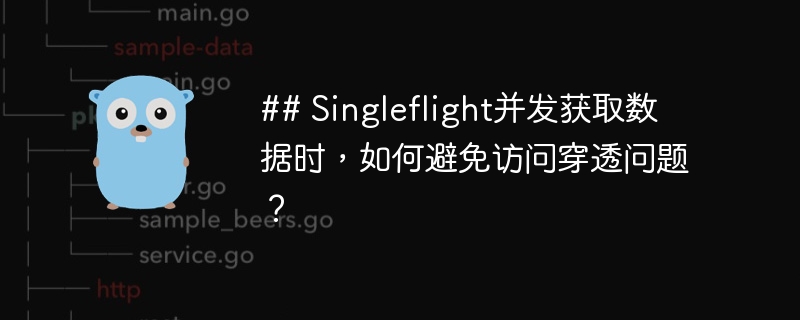 ## Singleflight并发获取数据时,如何避免访问穿透问题?