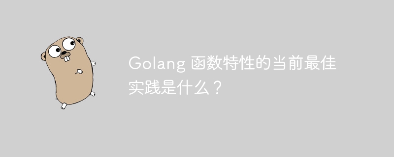Golang 函数特性的当前最佳实践是什么?