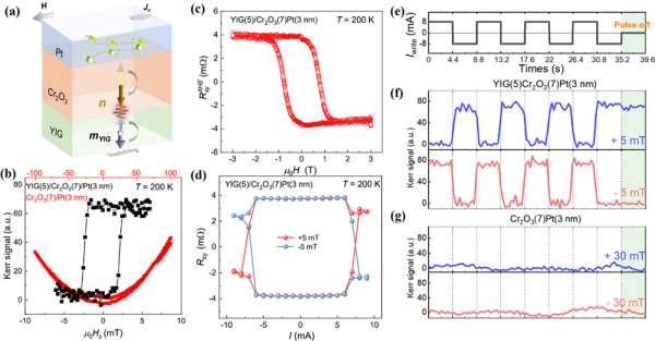 中科院研究实现电流驱动共线反铁磁中垂直奈尔矢量翻转