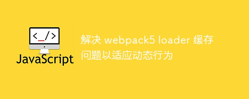 解决 webpack5 loader 缓存问题以适应动态行为
