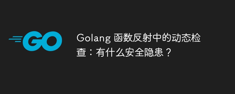 Golang 函数反射中的动态检查:有什么安全隐患?