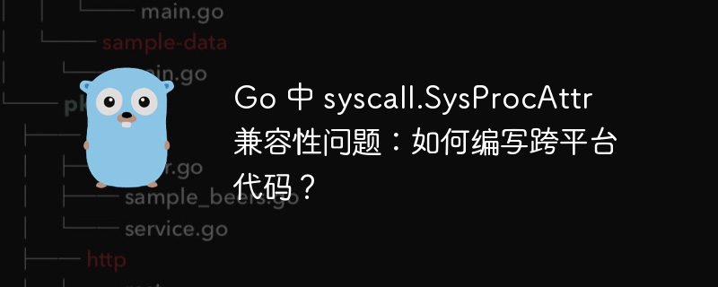 Go 中 syscall.SysProcAttr 兼容性问题：如何编写跨平台代码？