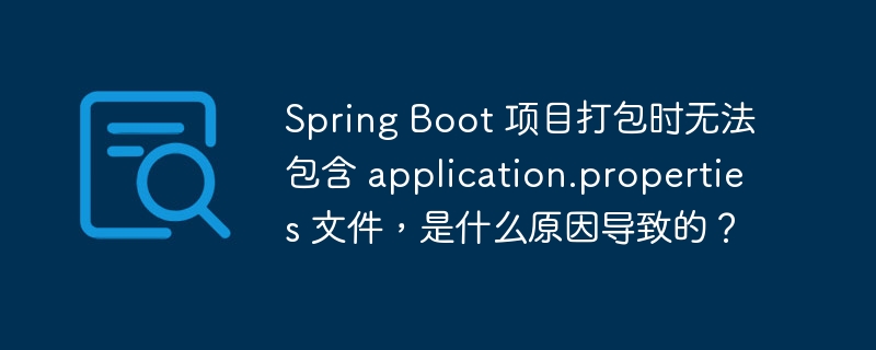 Spring Boot 项目打包时无法包含 application.properties 文件,是什么原因导致的?