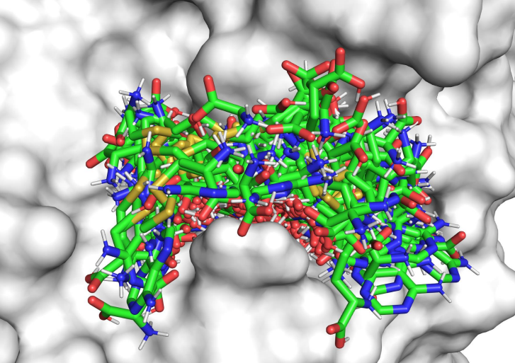 准确、高效、物理有效,中科大、北大提出「两段式」分子对接统一框架DeltaDock