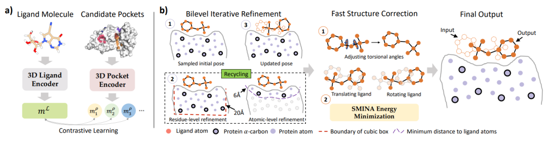 准确、高效、物理有效,中科大、北大提出「两段式」分子对接统一框架DeltaDock