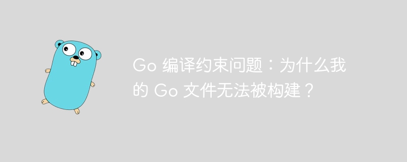 Go 编译约束问题：为什么我的 Go 文件无法被构建？