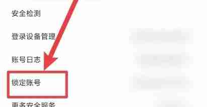 淘宝app怎么锁定账号-淘宝app锁定账号的方法