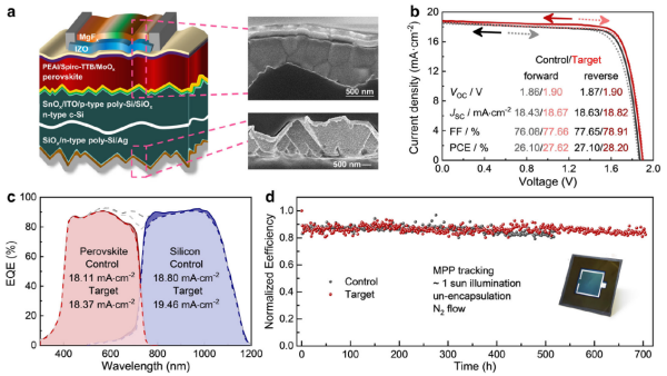 中国科学院宁波材料所等发展出n-i-p钙钛矿/晶硅叠层太阳电池