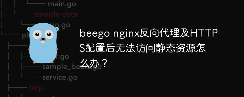 beego nginx反向代理及HTTPS配置后无法访问静态资源怎么办？