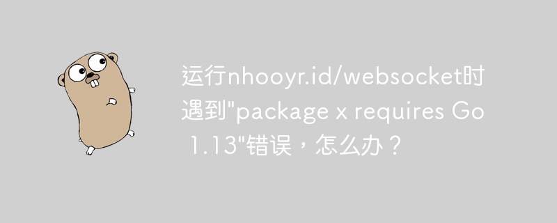 运行nhooyr.id/websocket时遇到\