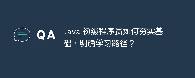 Java 初级程序员如何夯实基础，明确学习路径？