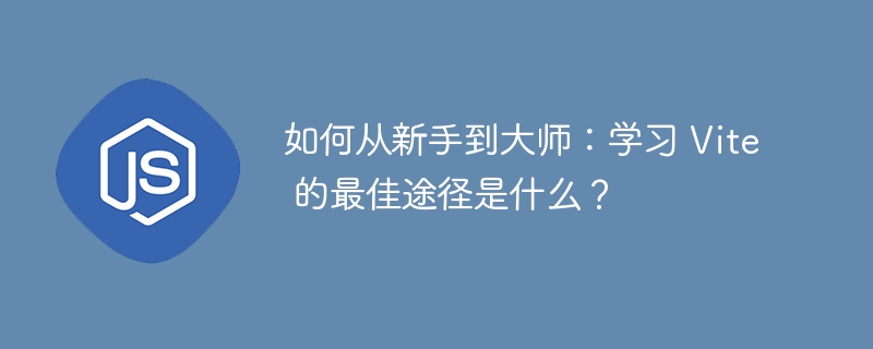 如何从新手到大师：学习 Vite 的最佳途径是什么？