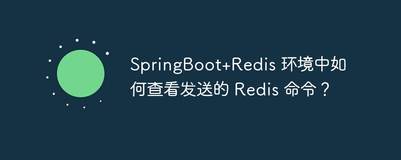 SpringBoot+Redis 环境中如何查看发送的 Redis 命令?