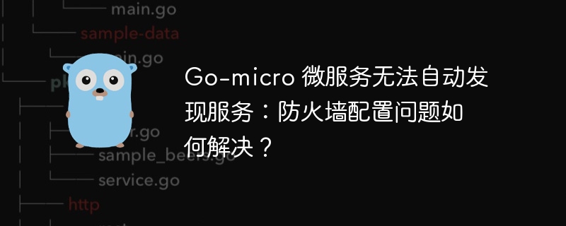 Go-micro 微服务无法自动发现服务:防火墙配置问题如何解决?