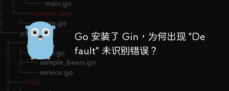 Go 安装了 Gin，为何出现 \