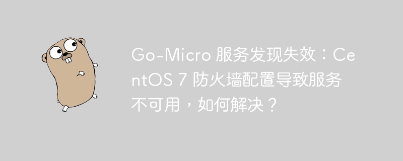 Go-Micro 服务发现失效：CentOS 7 防火墙配置导致服务不可用，如何解决？