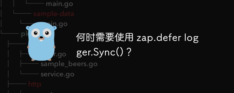 何时需要使用 zap.defer logger.Sync()?