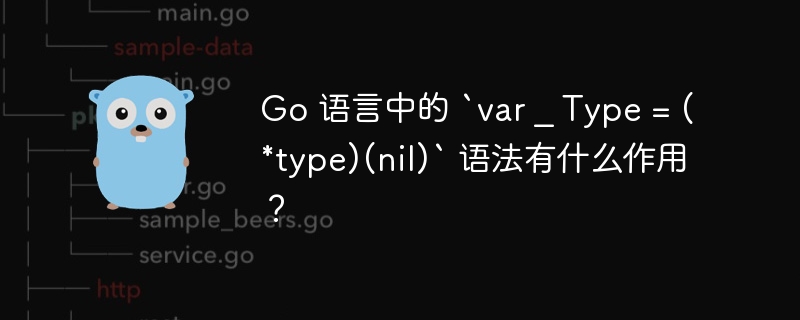 Go 语言中的 `var _ Type = (*type)(nil)` 语法有什么作用？