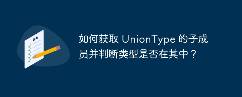 如何获取 UnionType 的子成员并判断类型是否在其中?