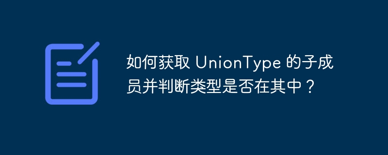 如何获取 UnionType 的子成员并判断类型是否在其中？