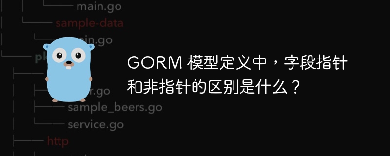 GORM 模型定义中，字段指针和非指针的区别是什么？