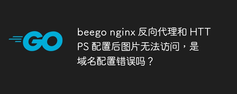 beego nginx 反向代理和 HTTPS 配置后图片无法访问，是域名配置错误吗？