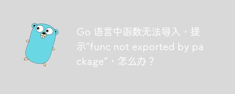 Go 语言中函数无法导入，提示“func not exported by package”，怎么办？