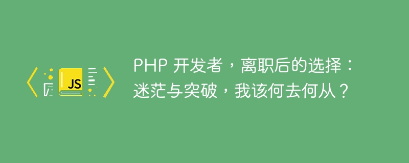PHP 开发者,离职后的选择:迷茫与突破,我该何去何从?