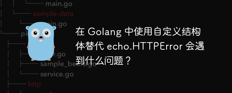 在 Golang 中使用自定义结构体替代 echo.HTTPError 会遇到什么问题？