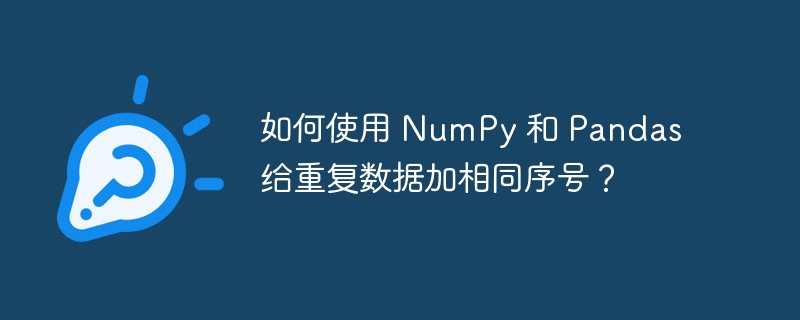 如何使用 NumPy 和 Pandas 给重复数据加相同序号？
