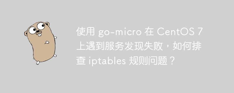 使用 go-micro 在 CentOS 7 上遇到服务发现失败，如何排查 iptables 规则问题？