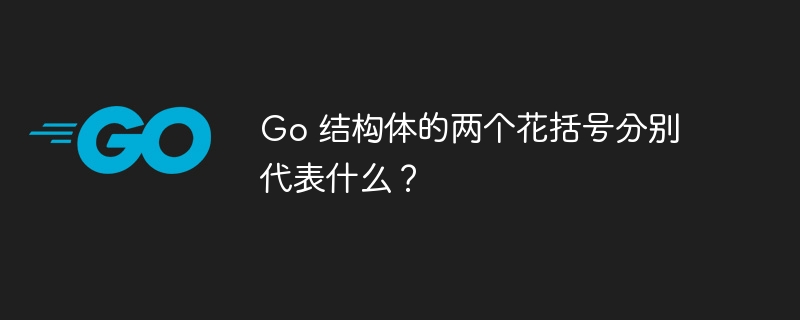 Go 结构体的两个花括号分别代表什么？