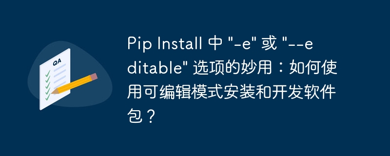 Pip Install 中 
