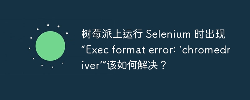 树莓派上运行 Selenium 时出现 “Exec format error: ‘chromedriver’”该如何解决？