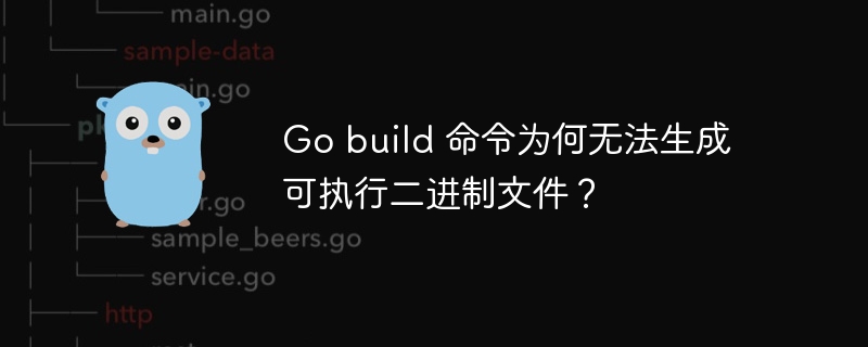 Go build 命令为何无法生成可执行二进制文件?