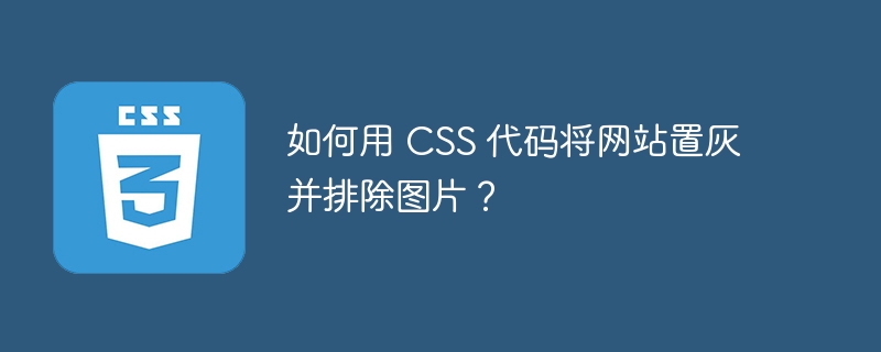 如何用 CSS 代码将网站置灰并排除图片?