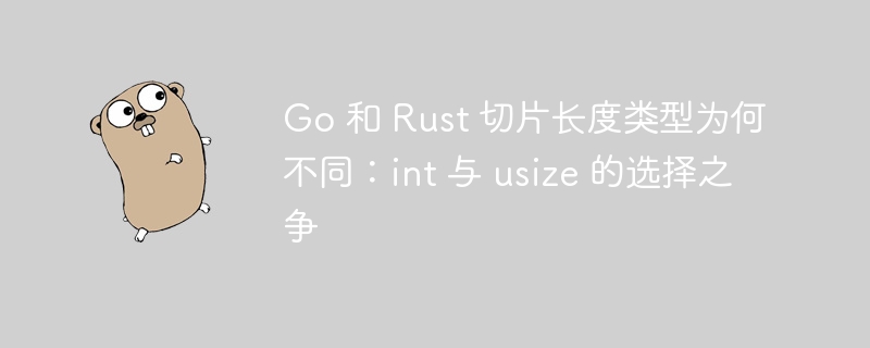 Go 和 Rust 切片长度类型为何不同：int 与 usize 的选择之争