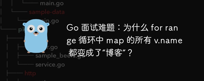 Go 面试难题：为什么 for range 循环中 map 的所有 v.name 都变成了“博客”？