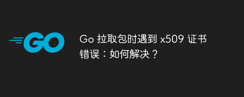 Go 拉取包时遇到 x509 证书错误:如何解决?