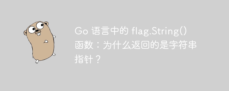 Go 语言中的 flag.String() 函数：为什么返回的是字符串指针？