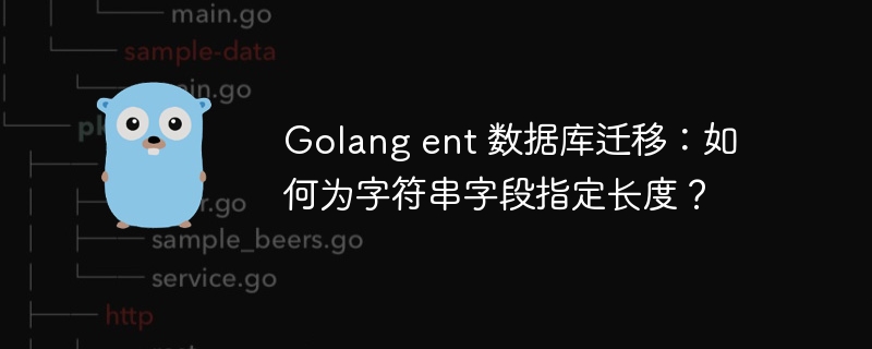 Golang ent 数据库迁移：如何为字符串字段指定长度？