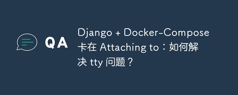 Django + Docker-Compose 卡在 Attaching to：如何解决 tty 问题？