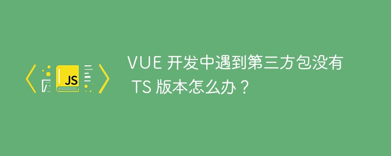 VUE 开发中遇到第三方包没有 TS 版本怎么办？