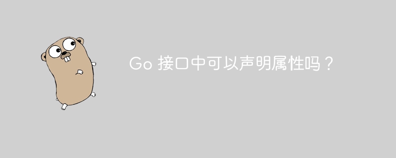 Go 接口中可以声明属性吗？