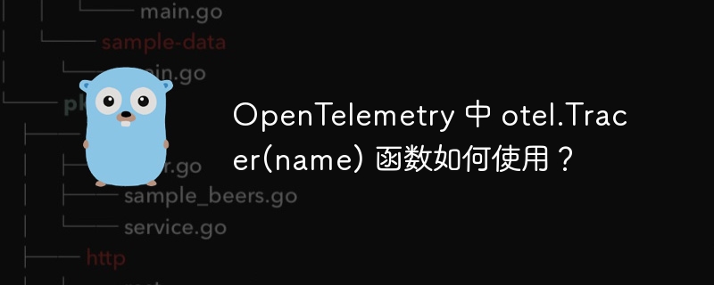 OpenTelemetry 中 otel.Tracer(name) 函数如何使用？