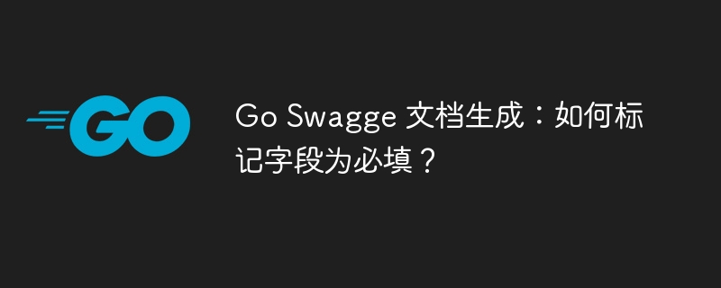 Go Swagge 文档生成：如何标记字段为必填？