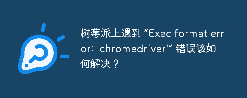 树莓派上遇到 “Exec format error: 'chromedriver'” 错误该如何解决？